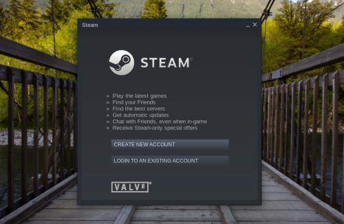 Steam