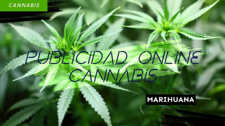¿Se puede realizar publicidad online sobre el cannabis?